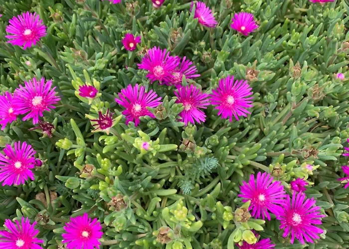 Adriatic Pearl Case de vacanță Dramalj