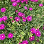 Adriatic Pearl Vakantiehuis Dramalj